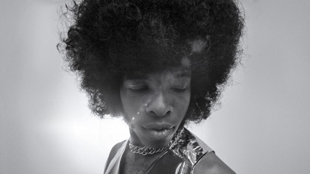 Le documentaire Sly Stone de Questlove, Sly Lives ! Venir à Hulu