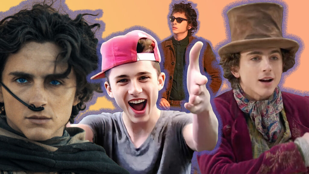 Confessions d'un ancien haineux de Timothée Chalamet