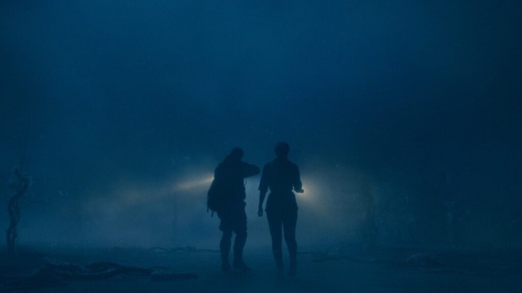 La bande originale de la saison 5 de Stranger Things redonne vie à cette couverture emblématique des années 70