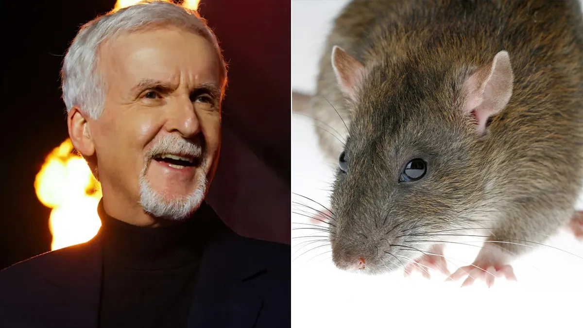 James Cameron a administré une RCR à un rat sur le tournage de The Abyss